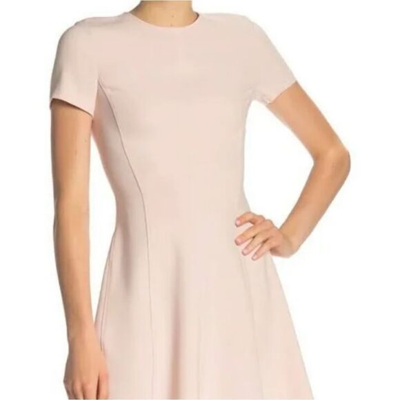 Theory Modern Seamed Shift Dress Pink Size 6 - Picture 1 of 5